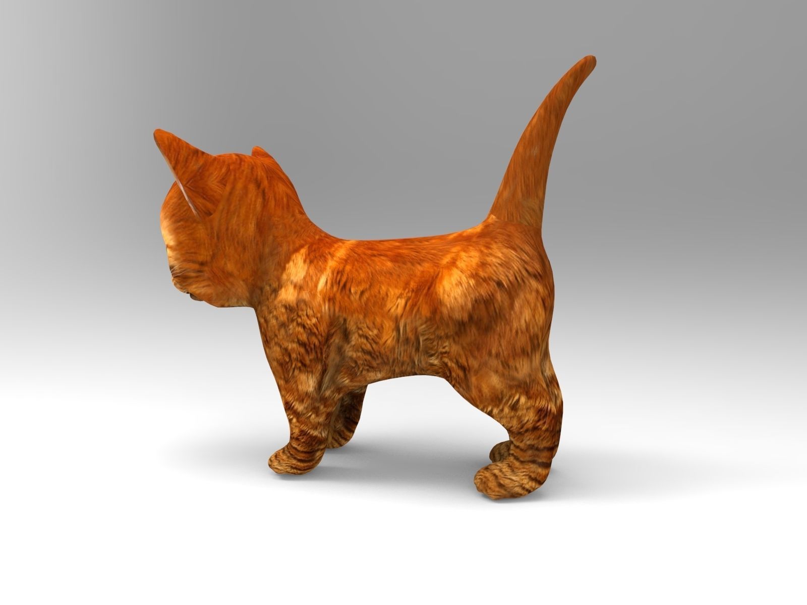 3D Cat Animated Low-poly 3D model_3