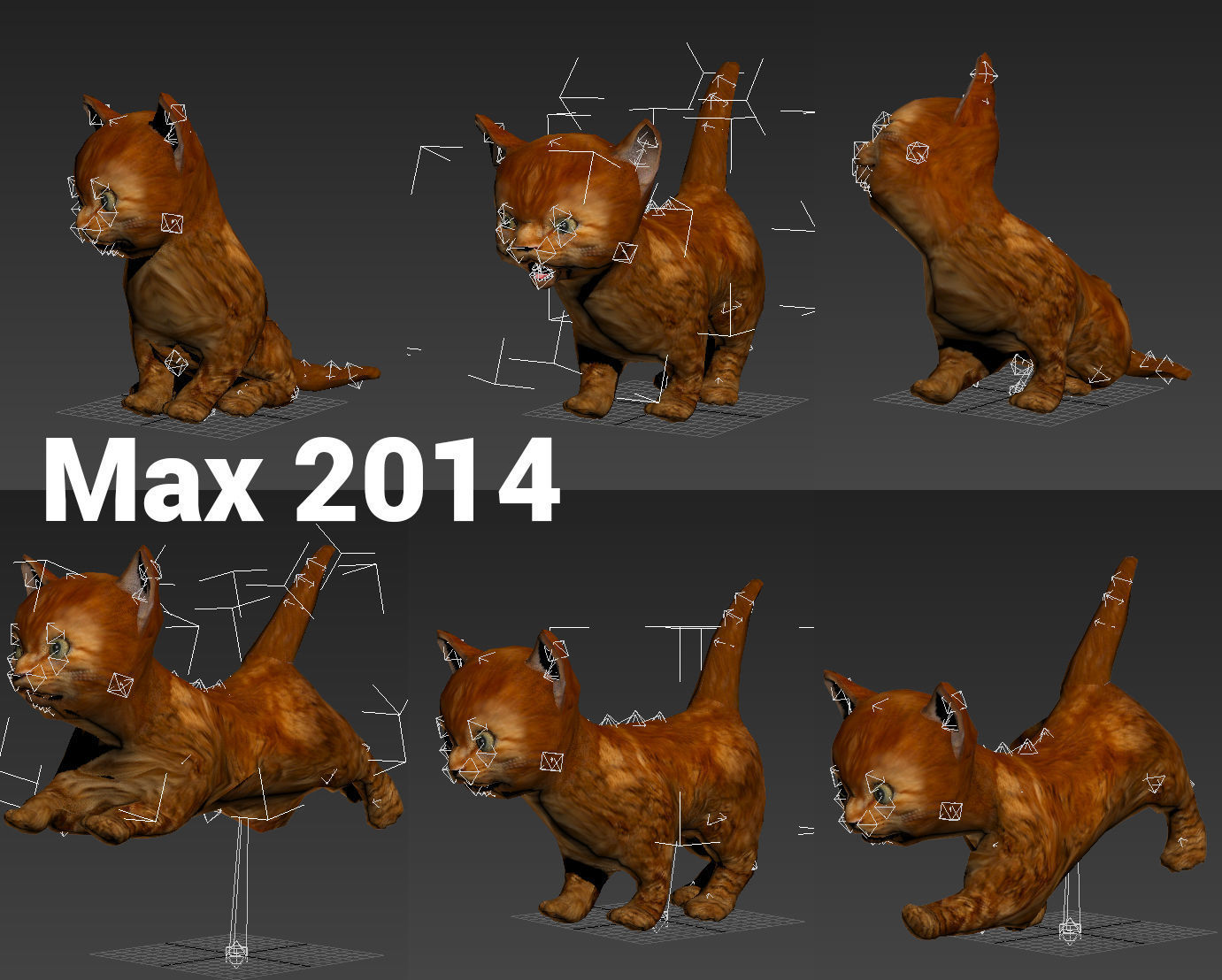 3D Cat Animated Low-poly 3D model_13