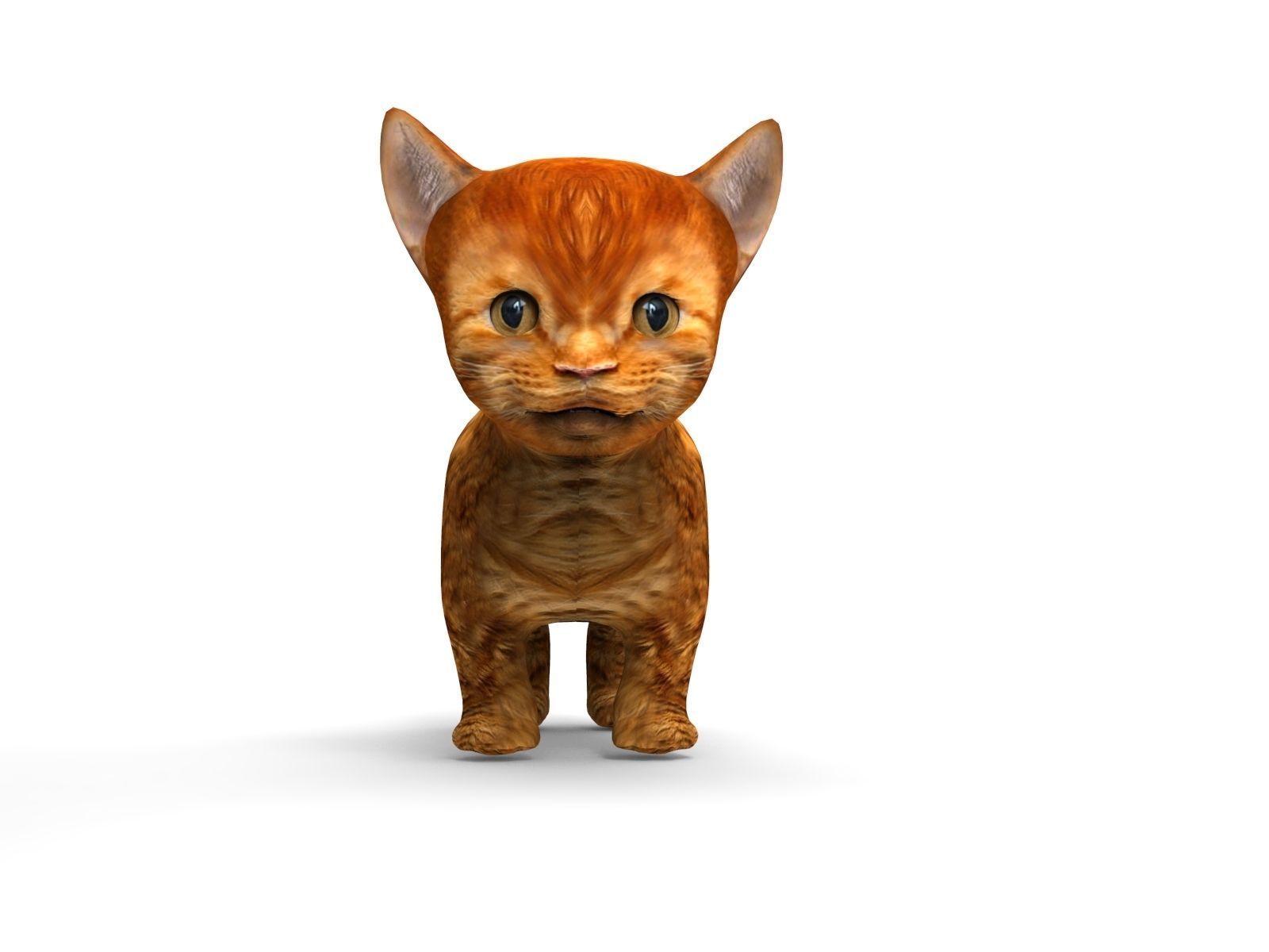 3D Cat Animated Low-poly 3D model_5