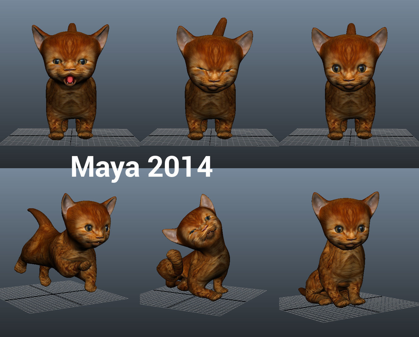 3D Cat Animated Low-poly 3D model_11
