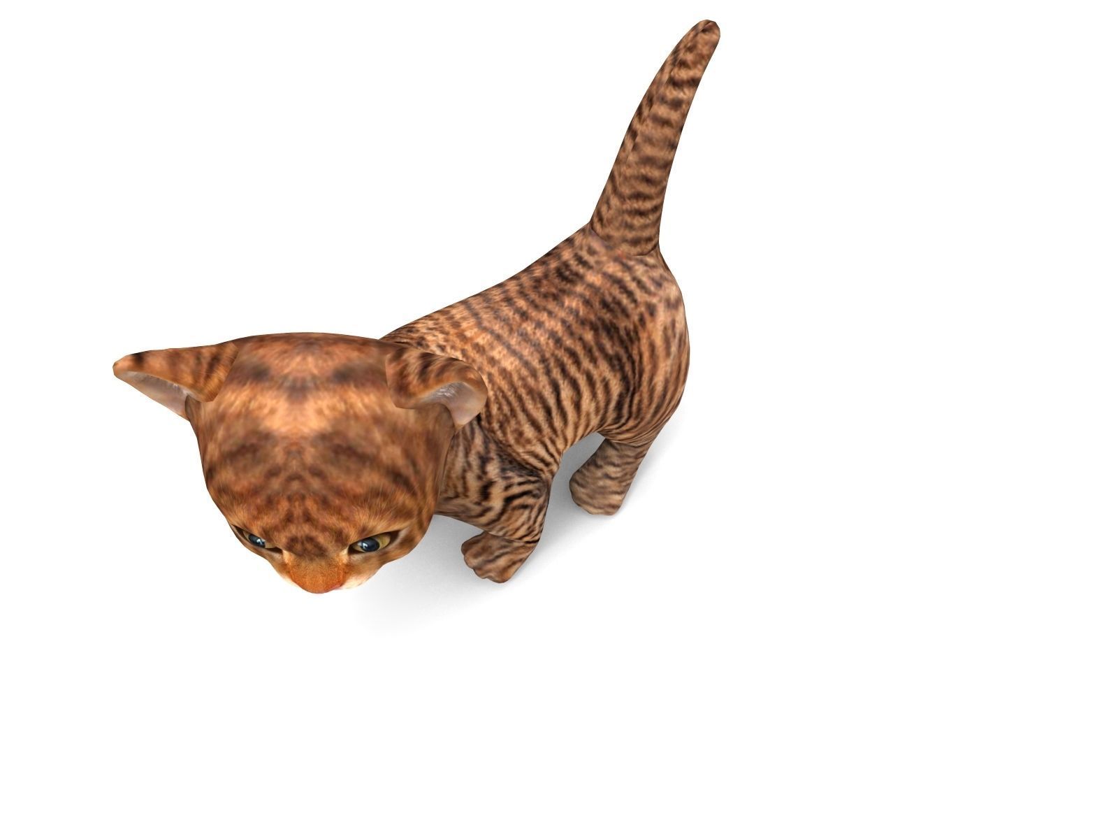 3D Cartoon Cat Animated Model Low-poly 3D model_9