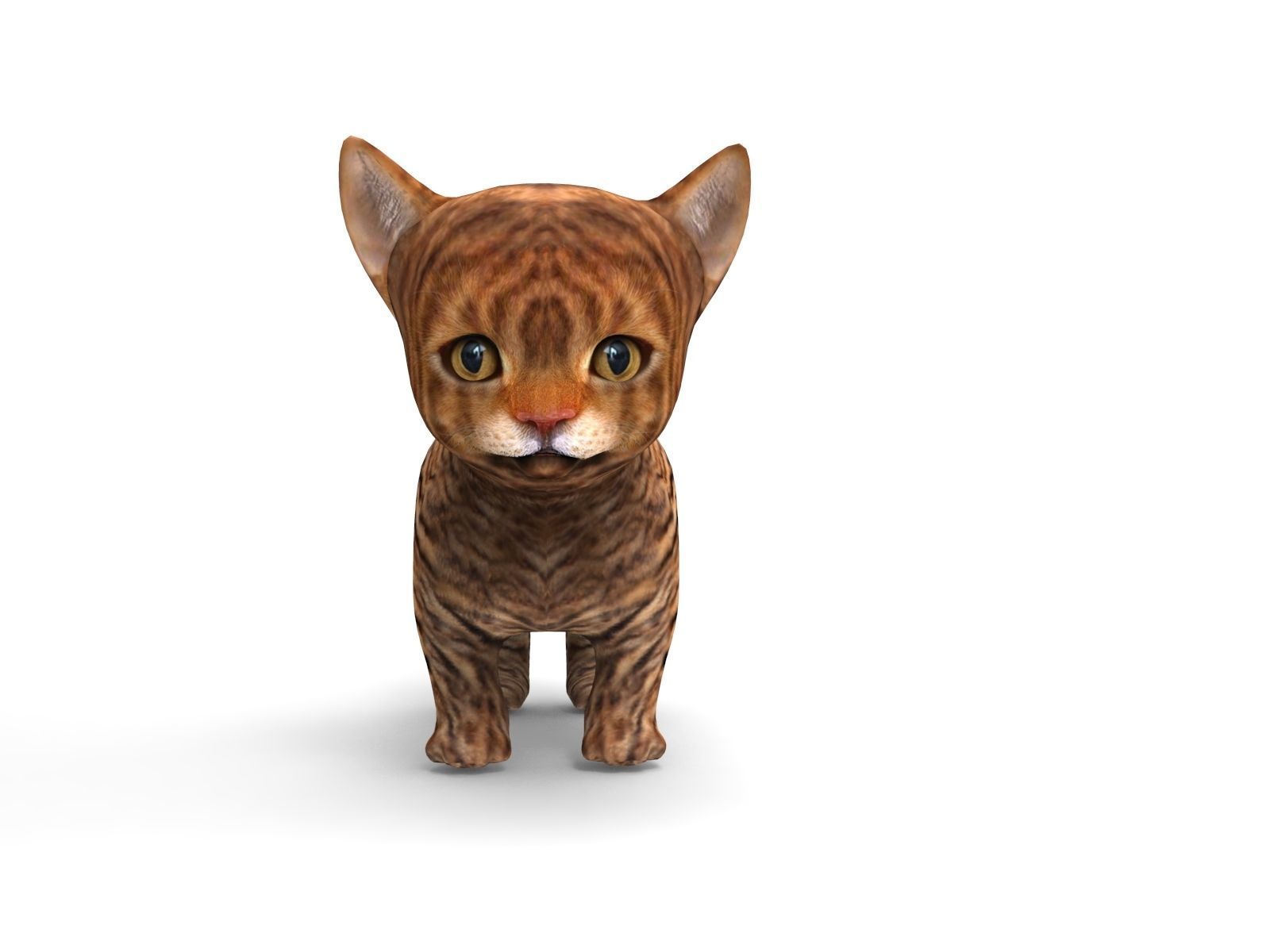 3D Cartoon Cat Animated Model Low-poly 3D model_7
