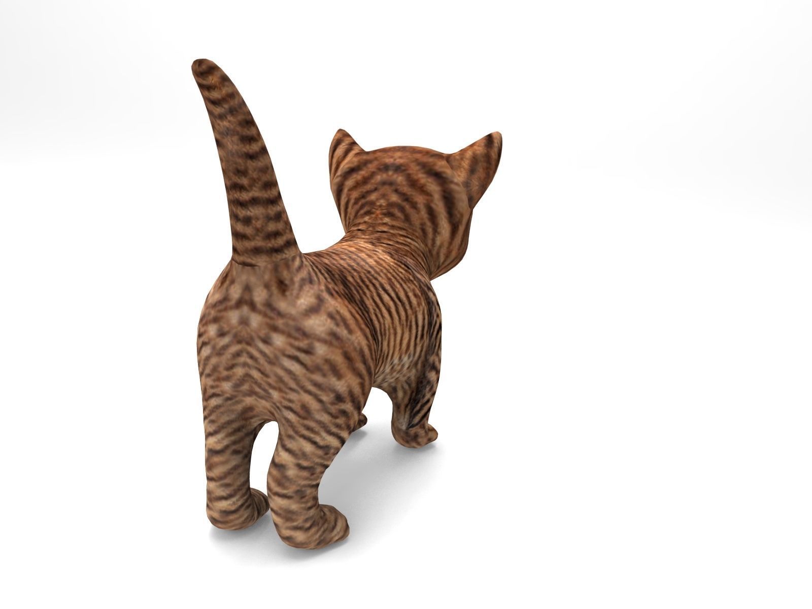 3D Cartoon Cat Animated Model Low-poly 3D model_4