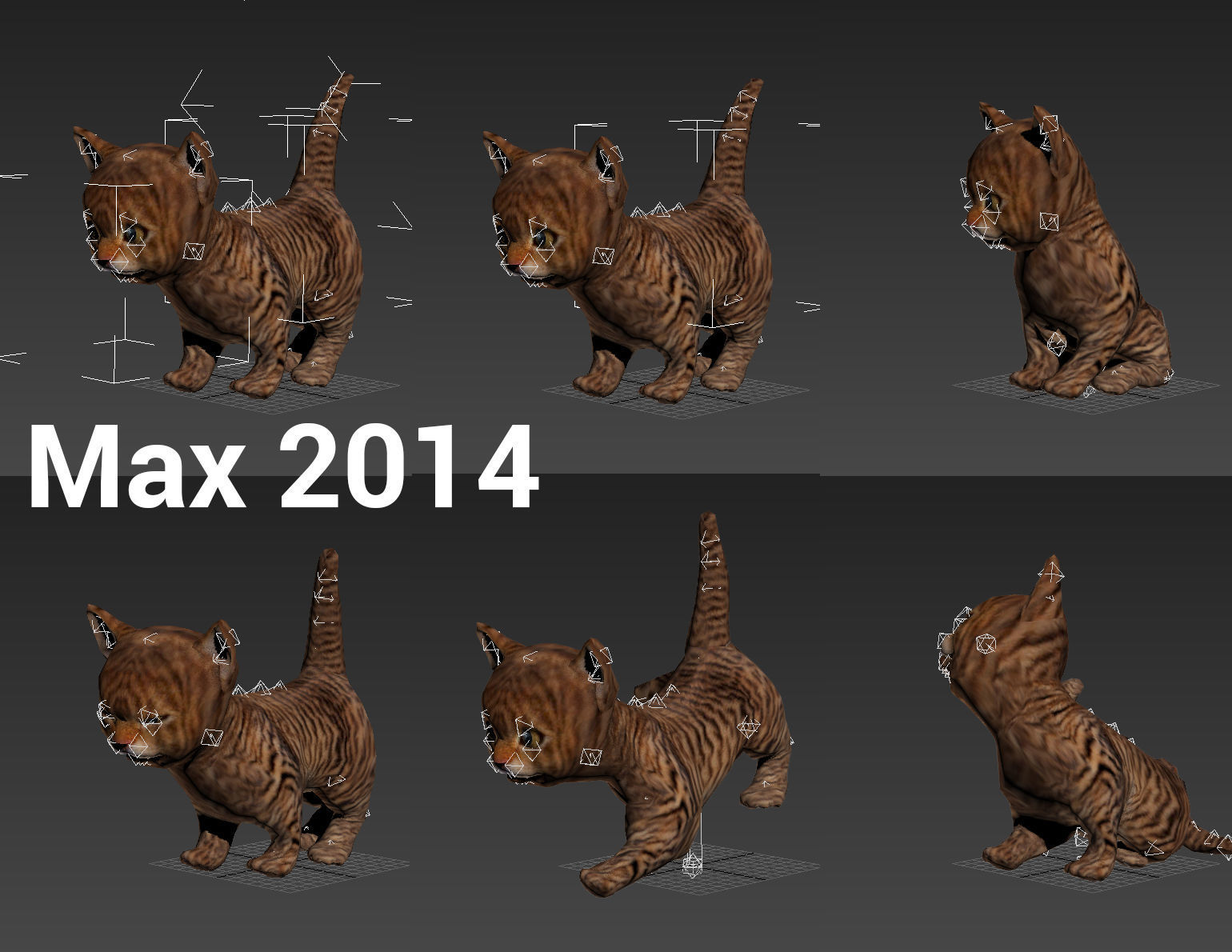 3D Cartoon Cat Animated Model Low-poly 3D model_15