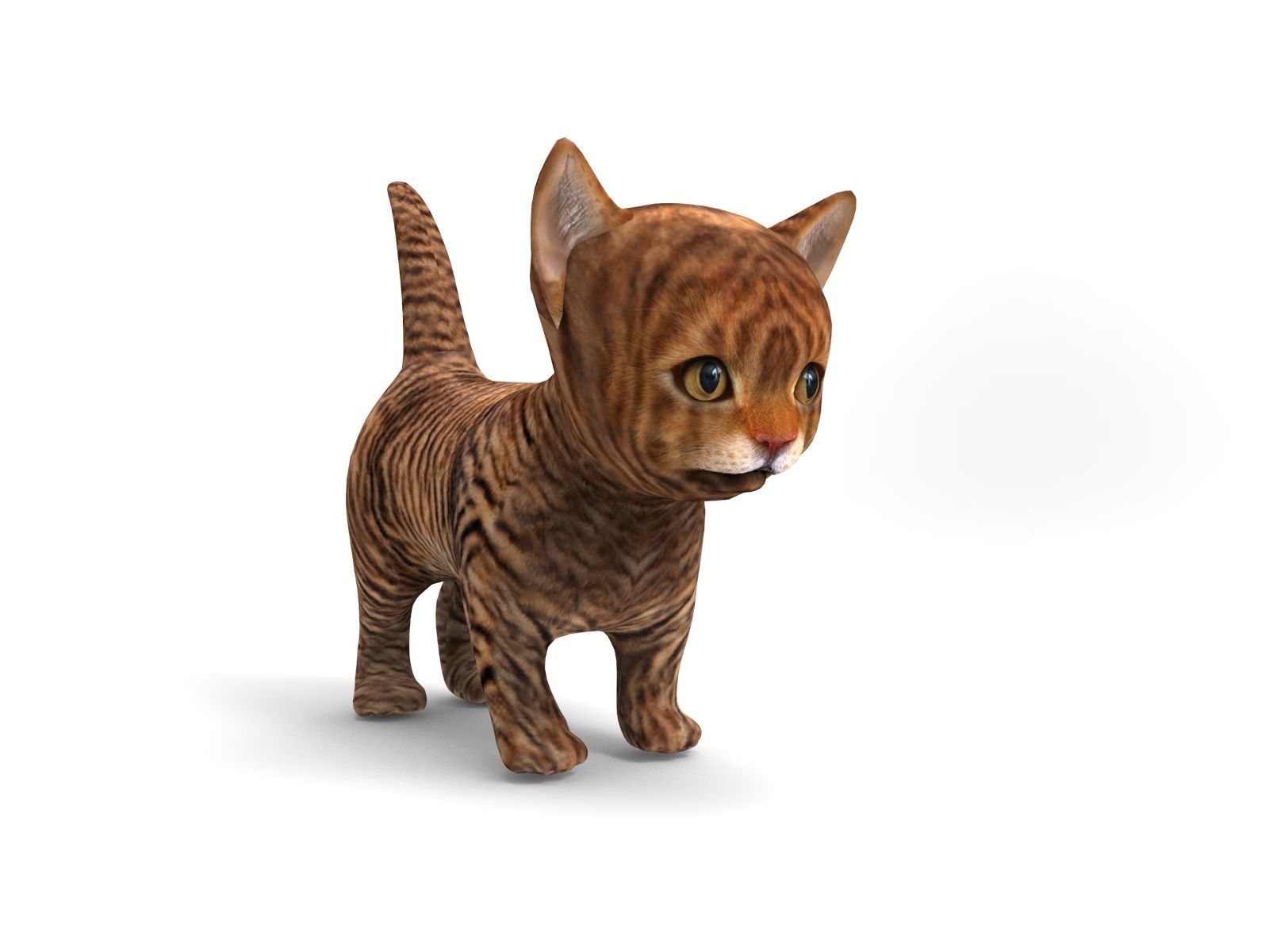 3D Cartoon Cat Animated Model Low-poly 3D model_6