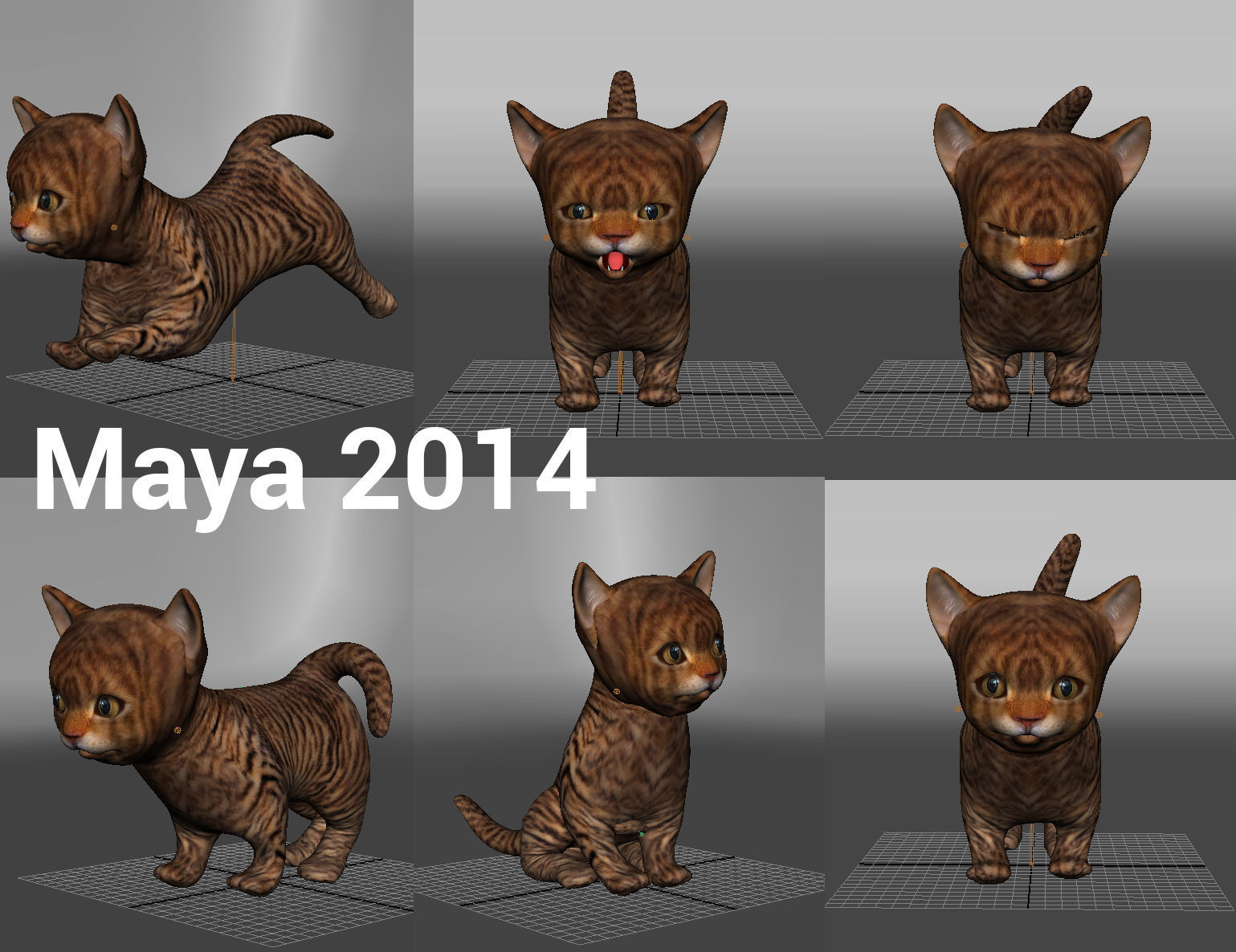3D Cartoon Cat Animated Model Low-poly 3D model_16