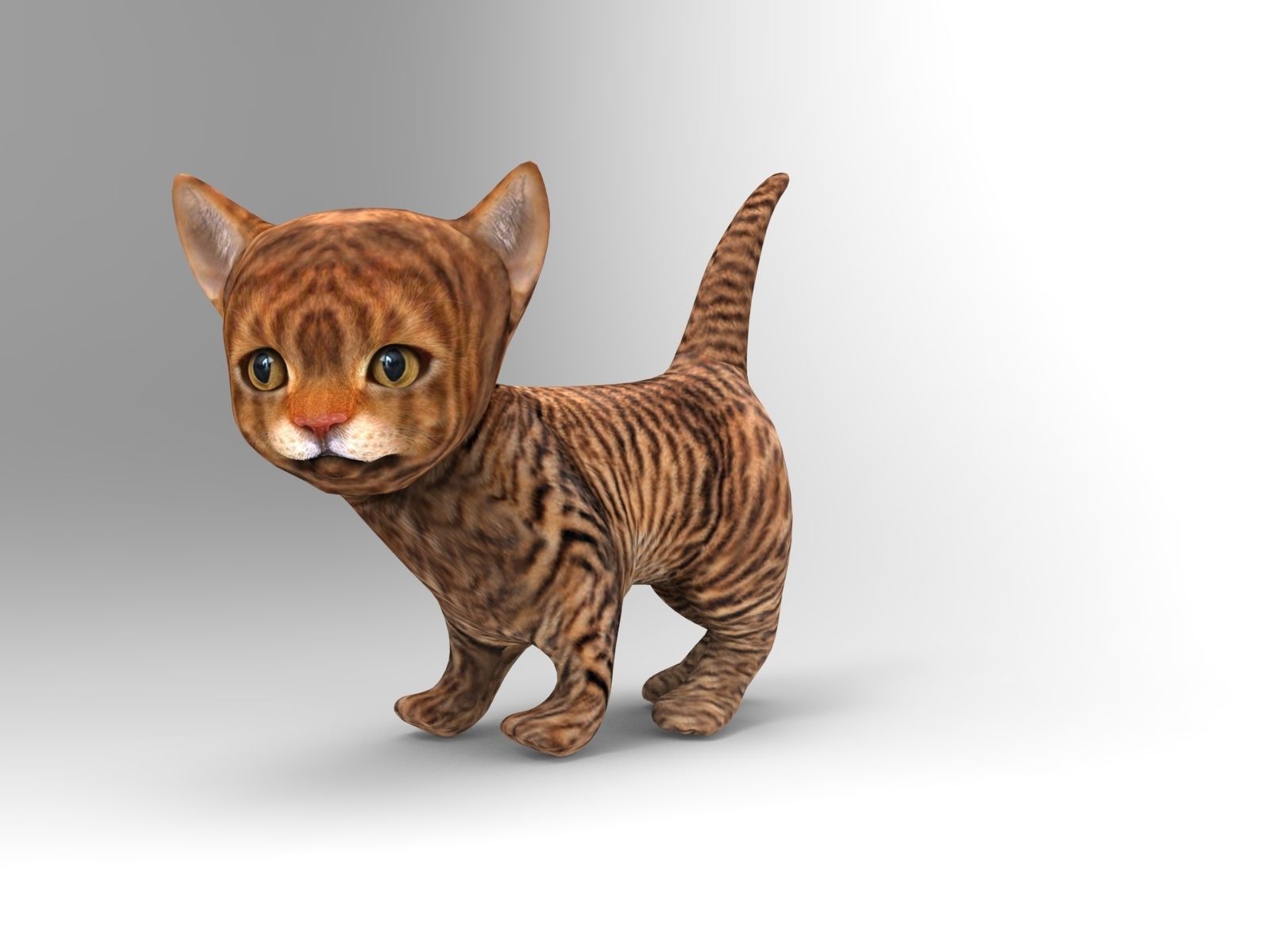 3D Cartoon Cat Animated Model Low-poly 3D model_8