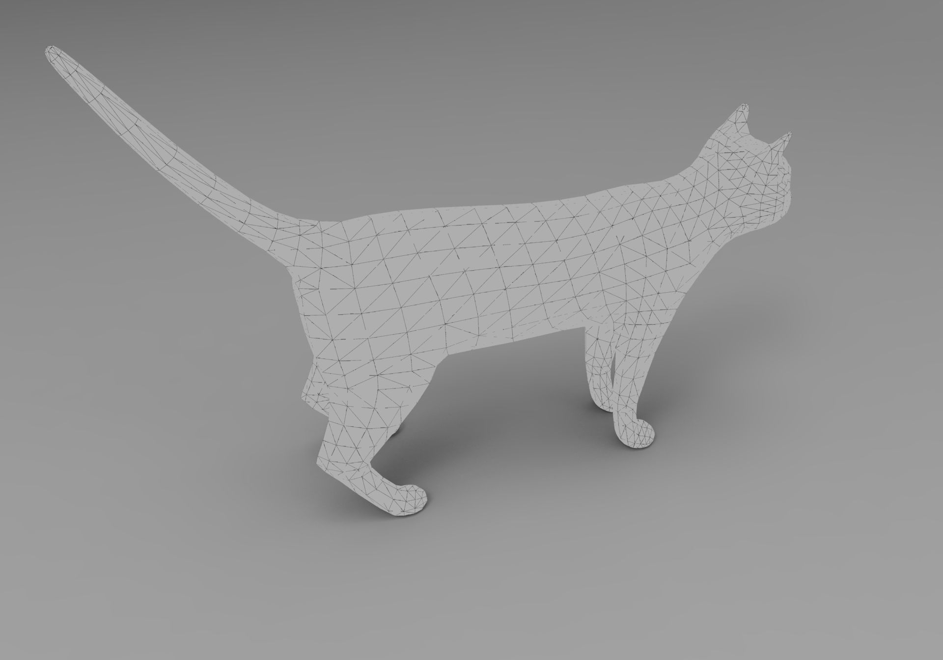 3D Cat animated Model low poly  Low-poly 3D model_24