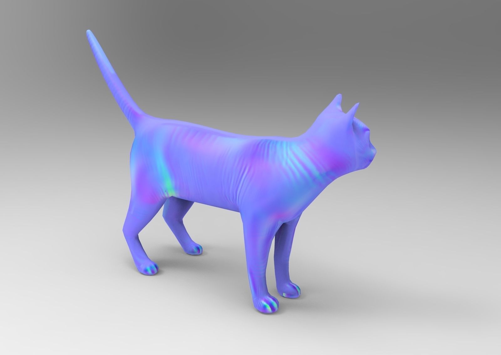 3D Cat animated Model low poly  Low-poly 3D model_20