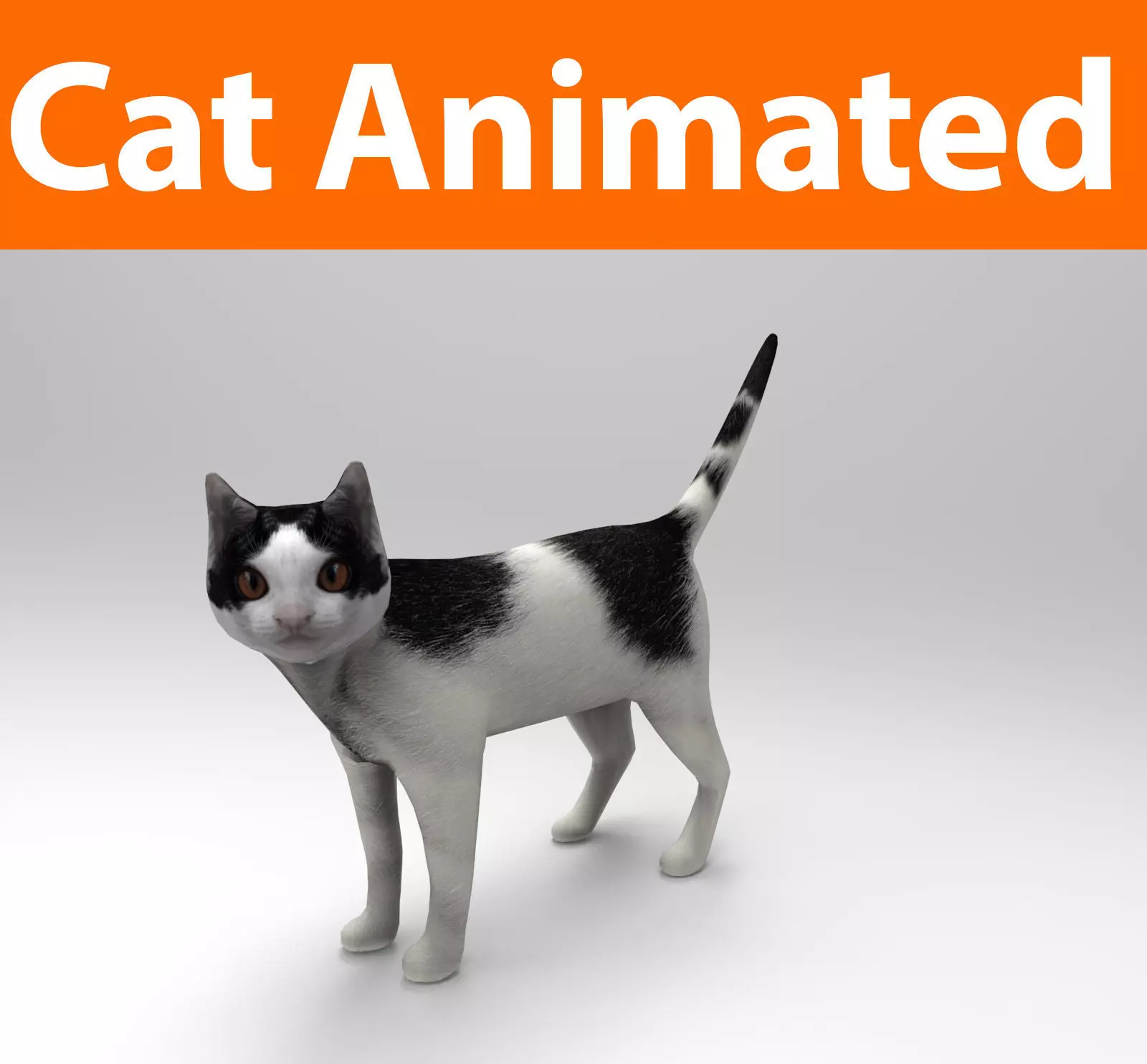 3D Cat animated Model low poly  Low-poly 3D model_0