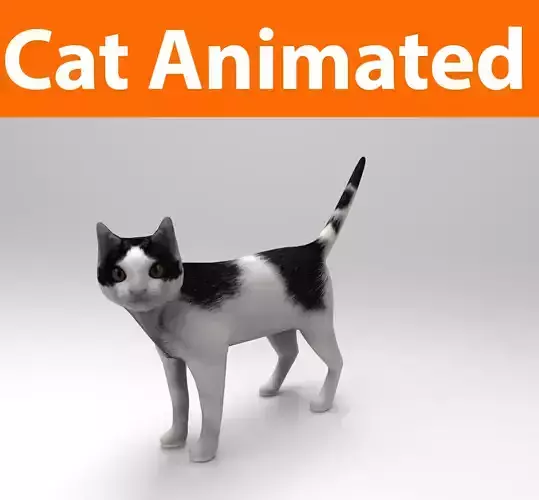 3D Cat animated Model low poly  Low-poly 3D model