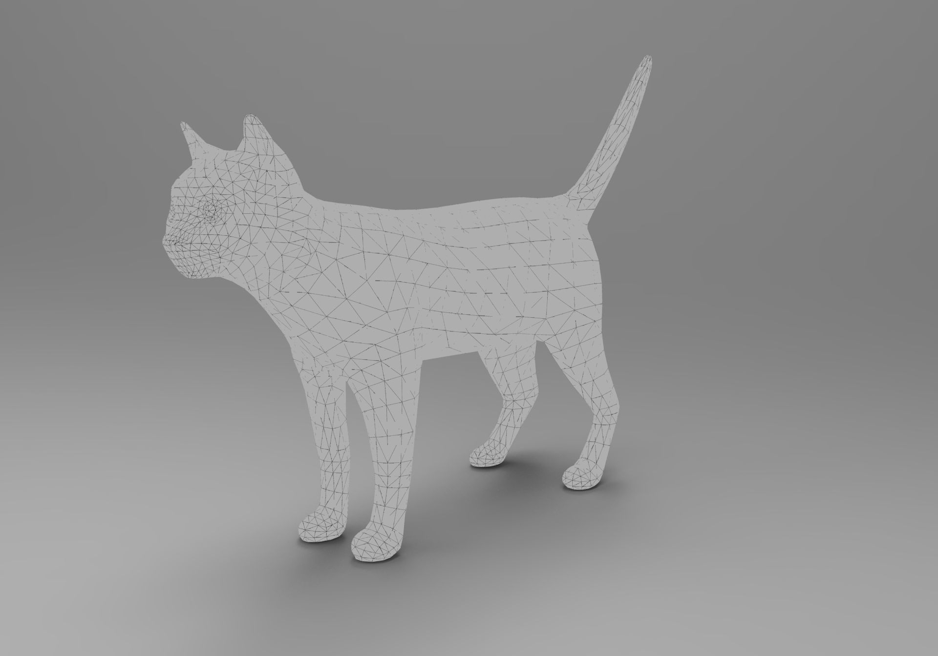 3D Cat animated Model low poly  Low-poly 3D model_27