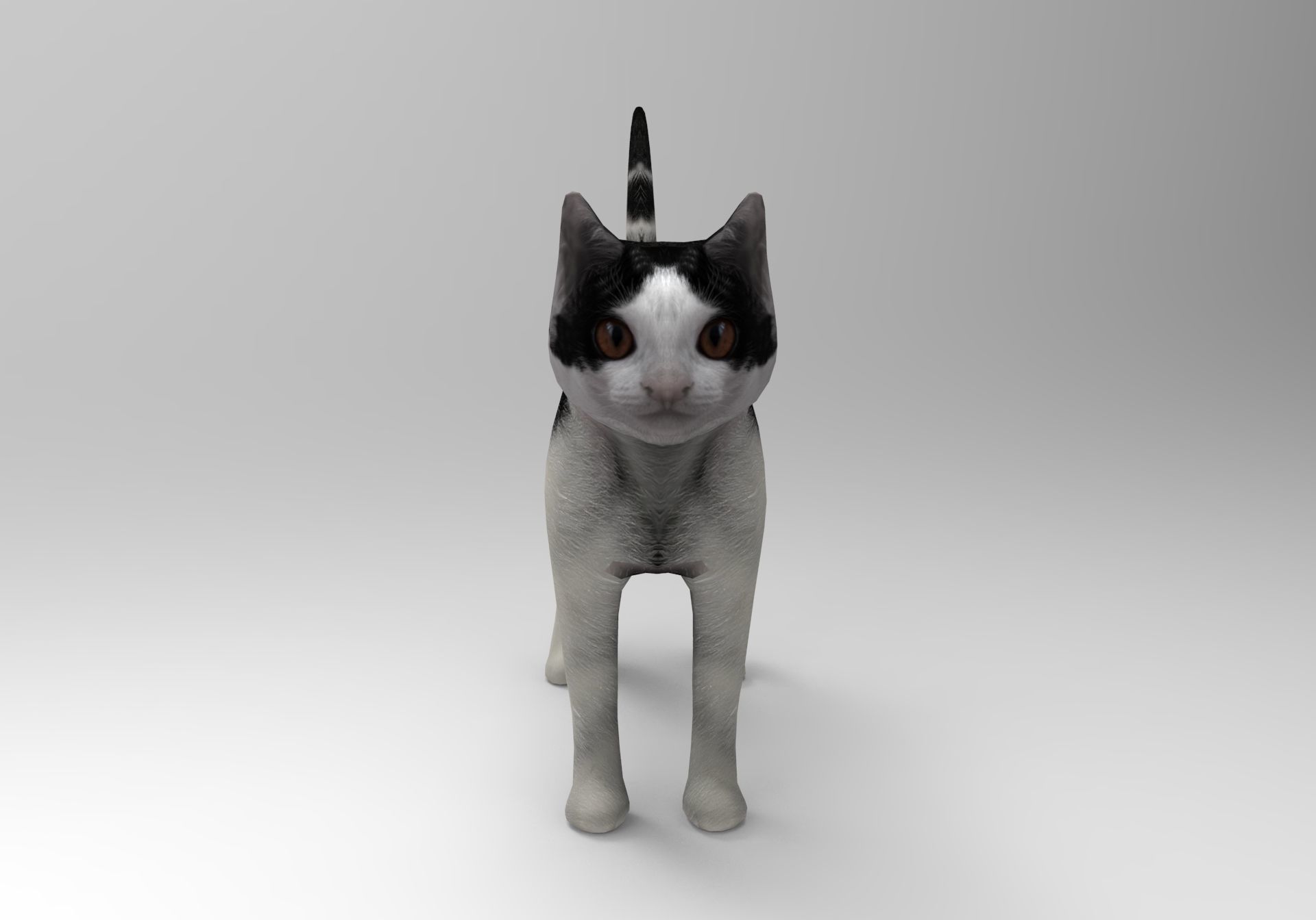 3D Cat animated Model low poly  Low-poly 3D model_15