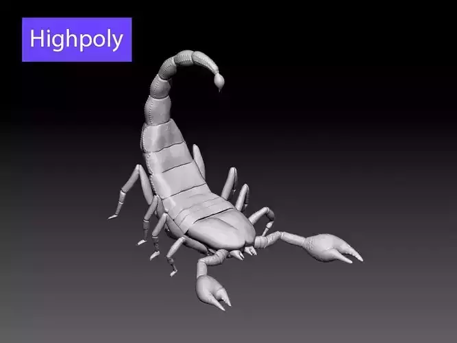 High poly scorpion 3D model