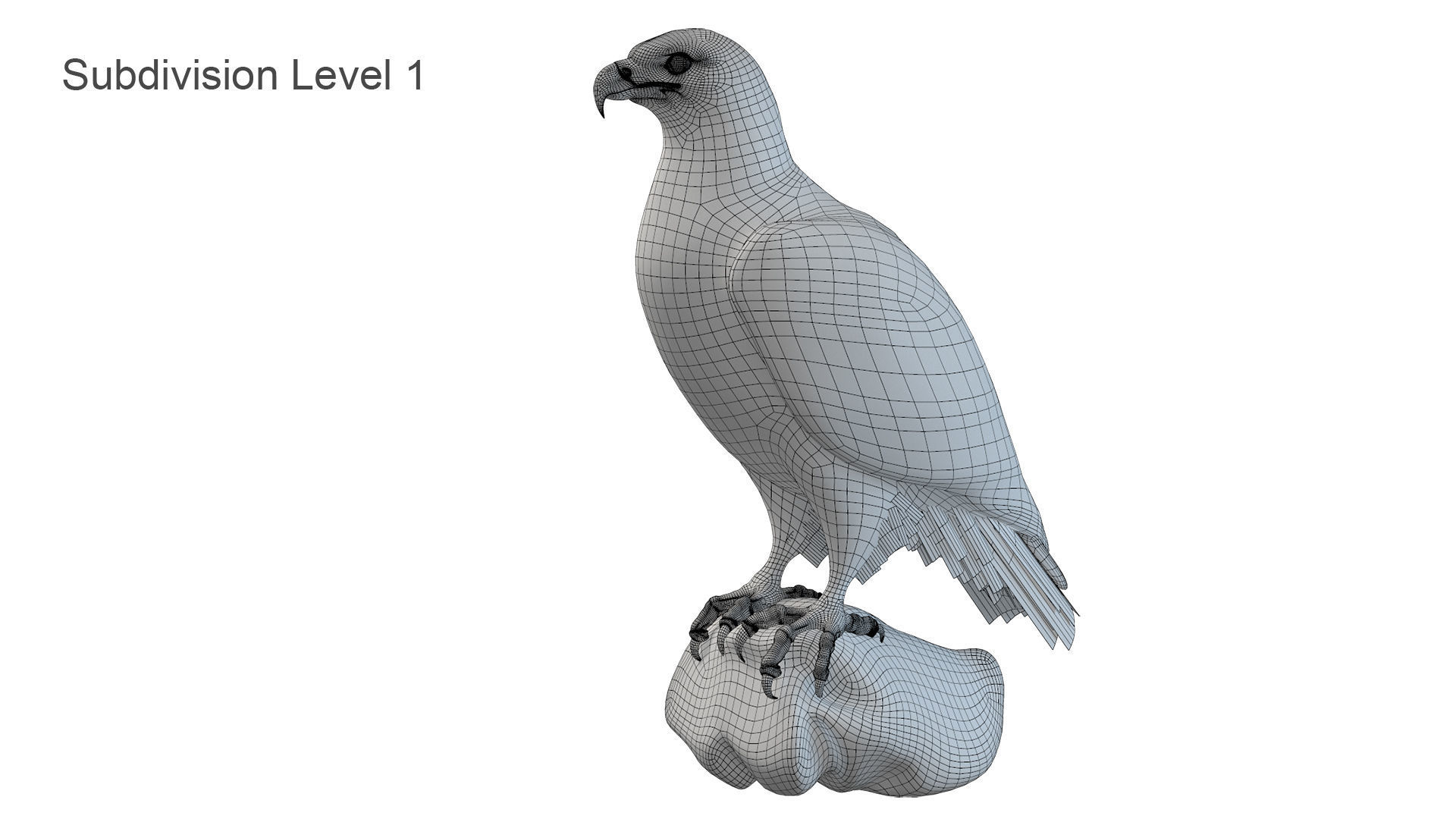 Golden Eagle Low-poly 3D model_16