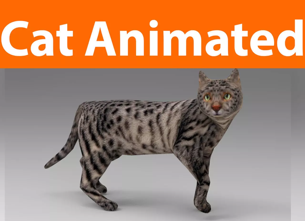 3d Cat Animated Model low poly   Low-poly 3D model_0