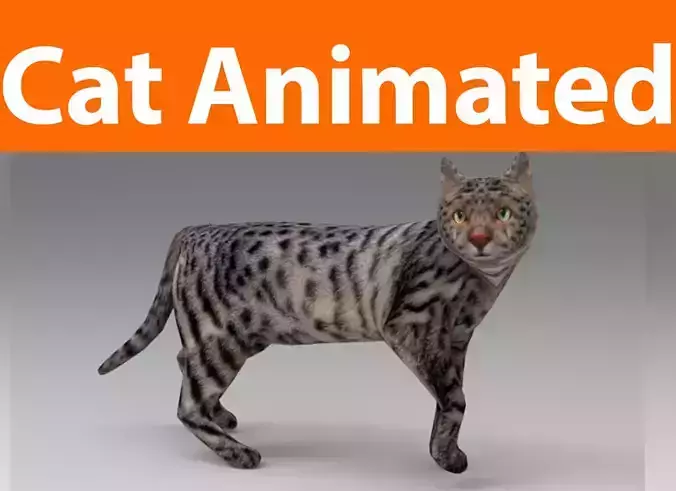 3d Cat Animated Model low poly  