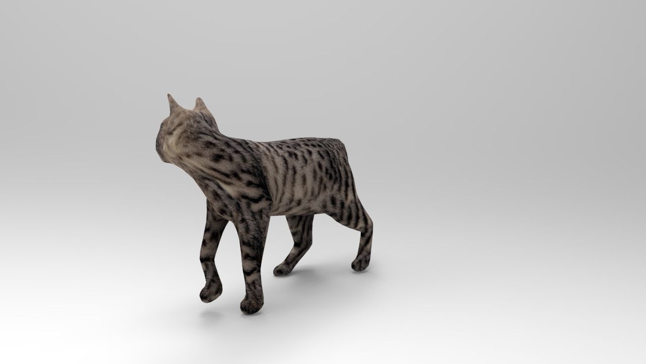 3d Cat Animated Model low poly   Low-poly 3D model_2