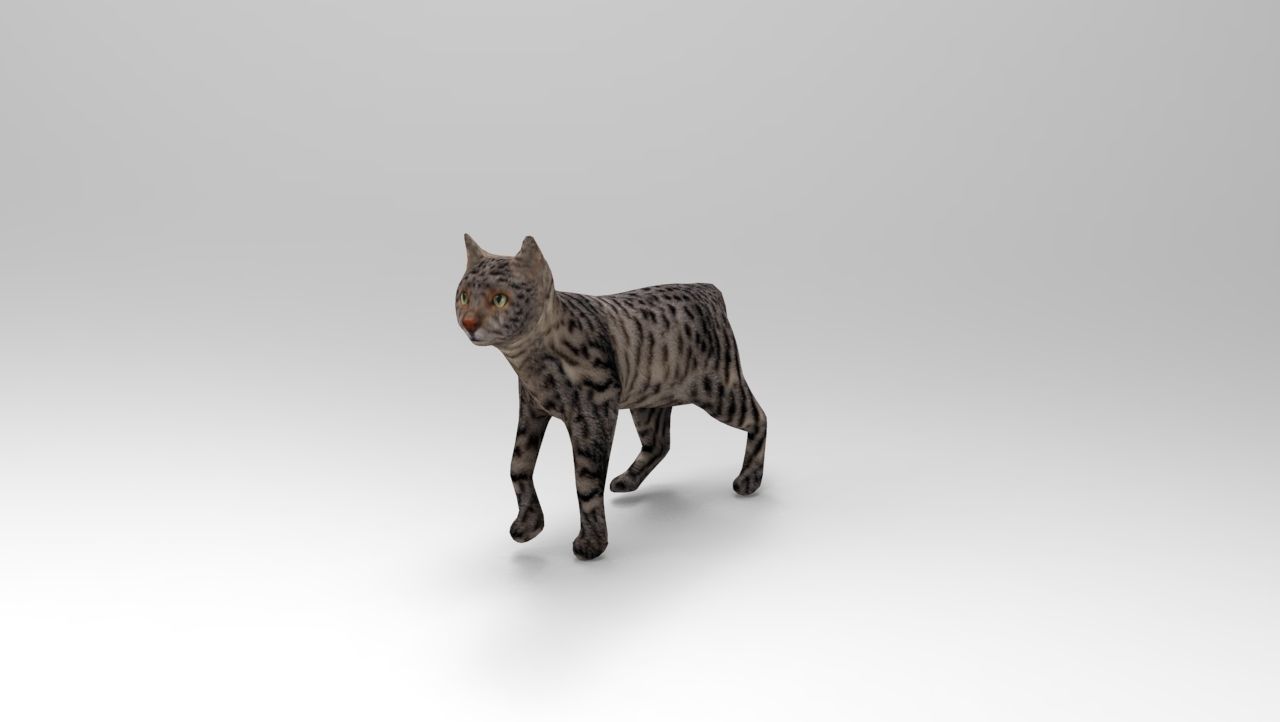 3d Cat Animated Model low poly   Low-poly 3D model_10