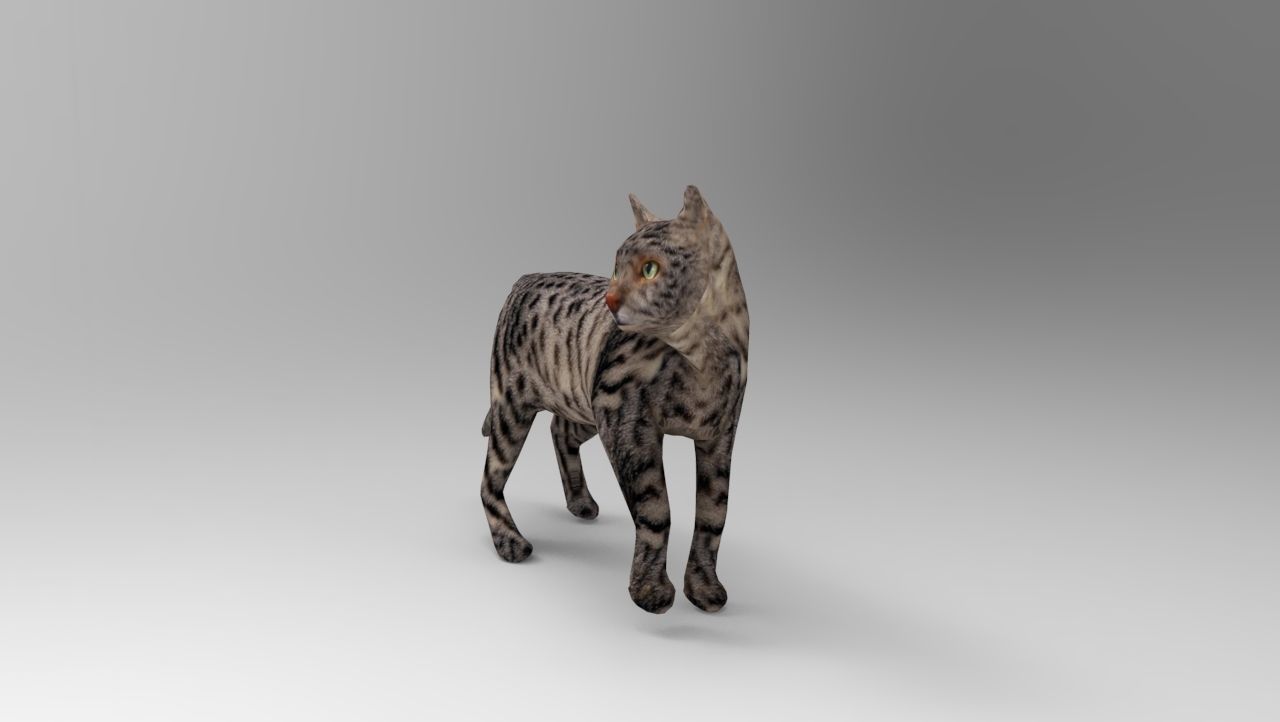 3d Cat Animated Model low poly   Low-poly 3D model_3