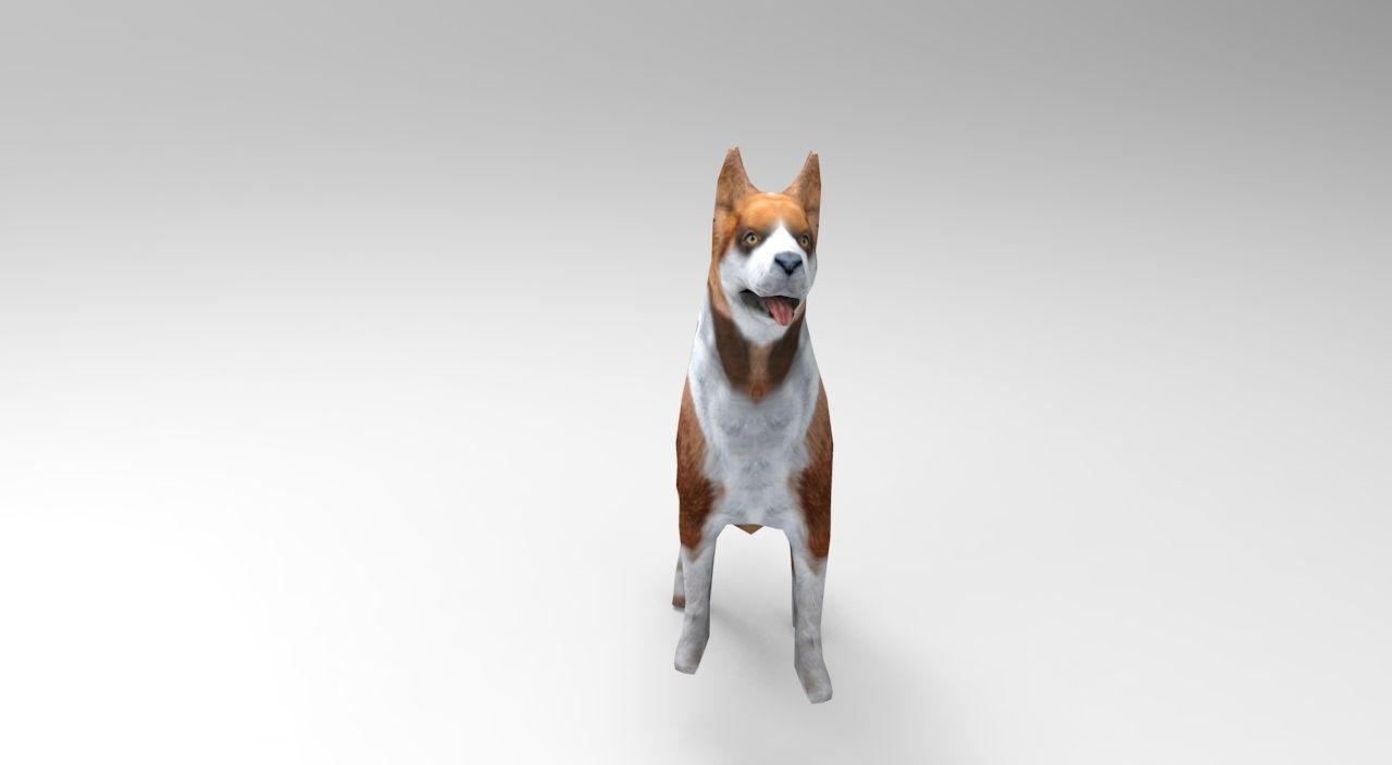 3D dog rigged  animated game ready low poly Low-poly 3D model_7