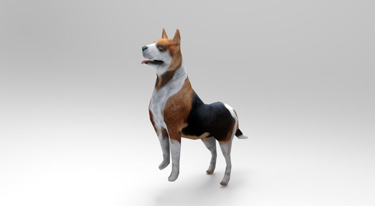 3D dog rigged  animated game ready low poly Low-poly 3D model_6