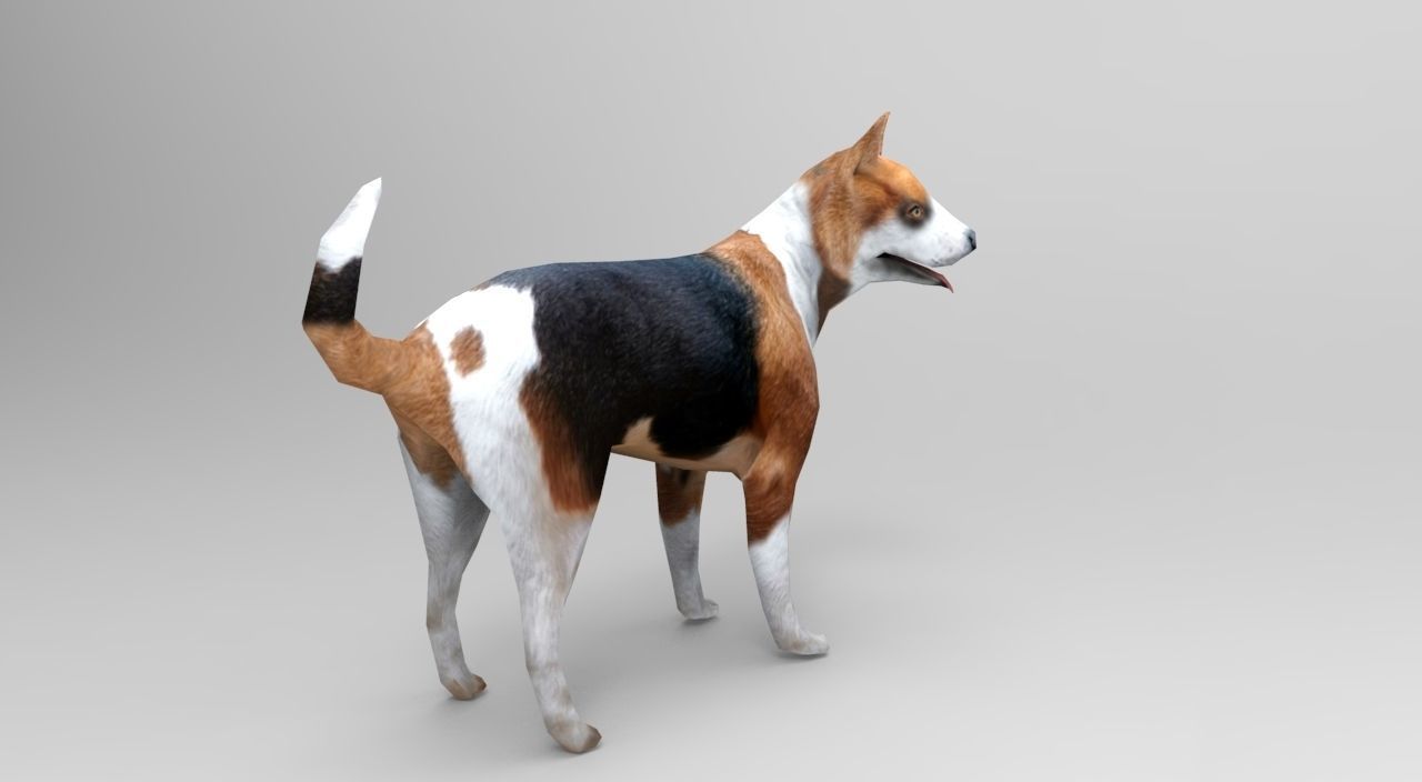 3D dog rigged  animated game ready low poly Low-poly 3D model_5