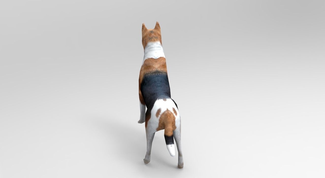 3D dog rigged  animated game ready low poly Low-poly 3D model_11