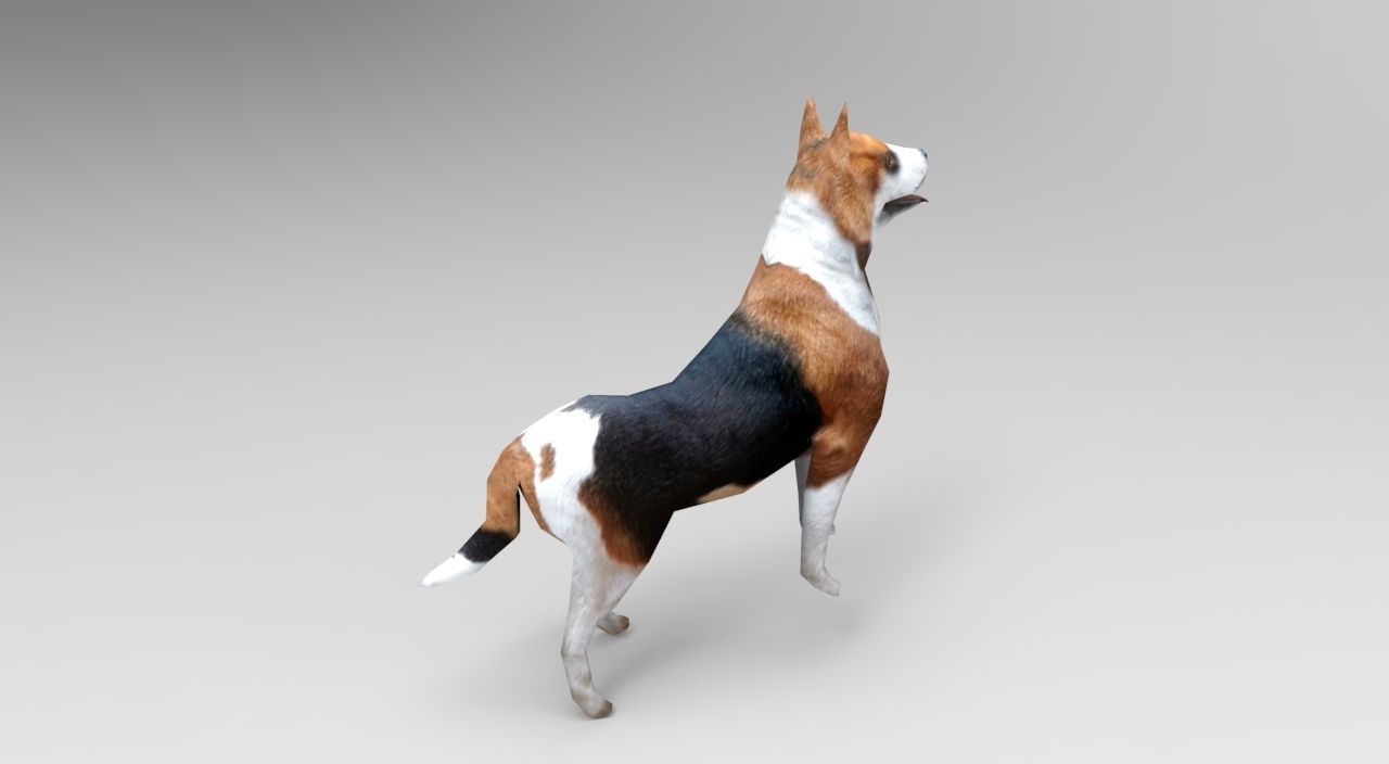 3D dog rigged  animated game ready low poly Low-poly 3D model_10