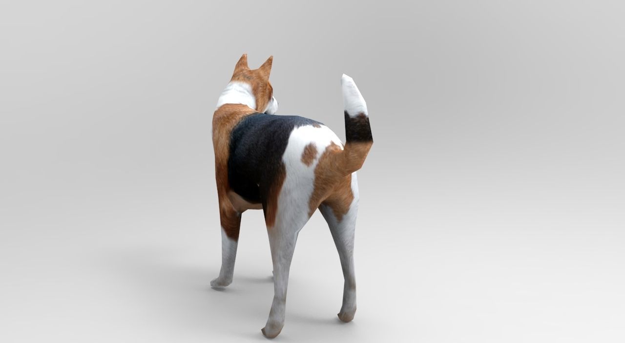 3D dog rigged  animated game ready low poly Low-poly 3D model_4