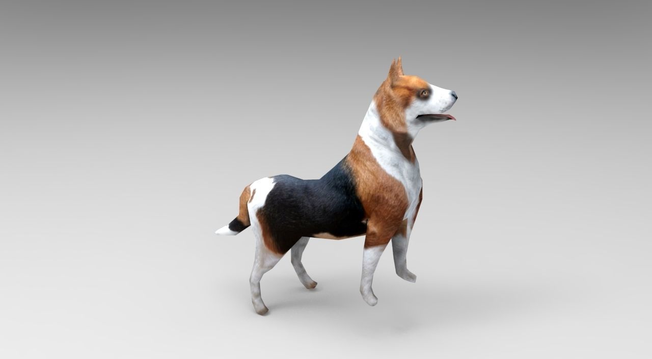 3D dog rigged  animated game ready low poly Low-poly 3D model_9