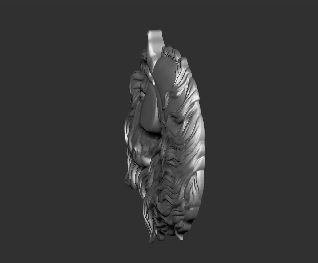 Horse Head 3D print model_5
