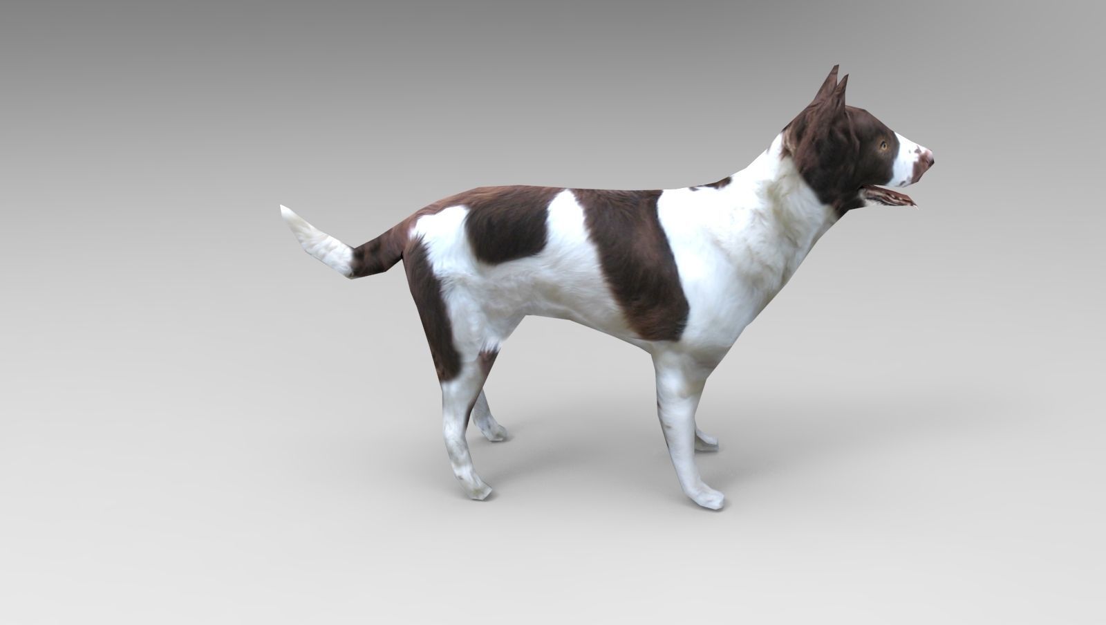 3D Dog animated low poly 3d Low-poly 3D model_9