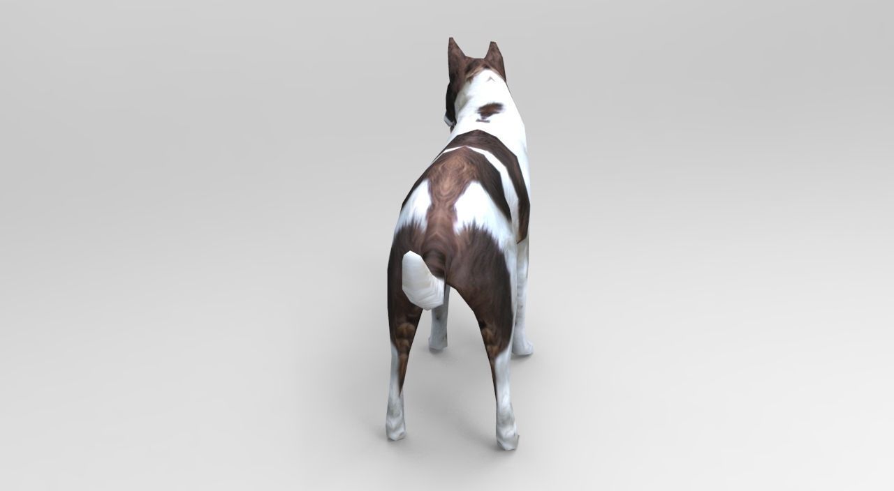 3D Dog animated low poly 3d Low-poly 3D model_14