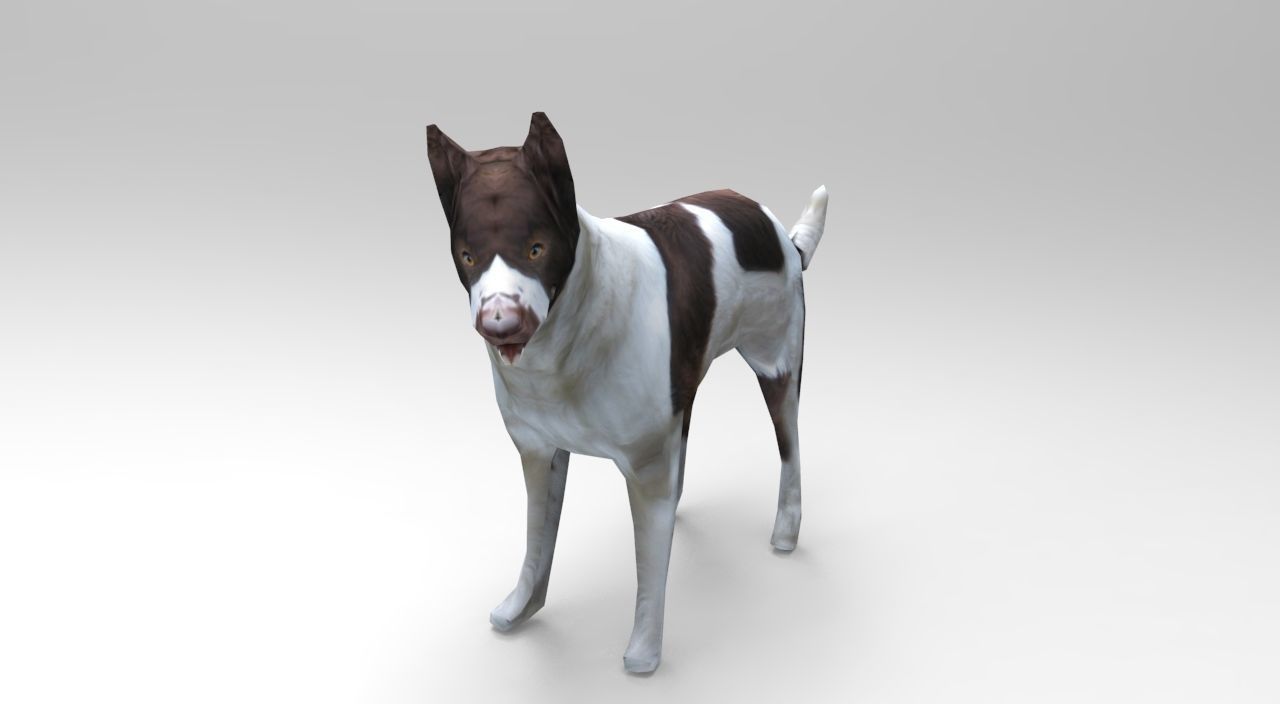 3D Dog animated low poly 3d Low-poly 3D model_2