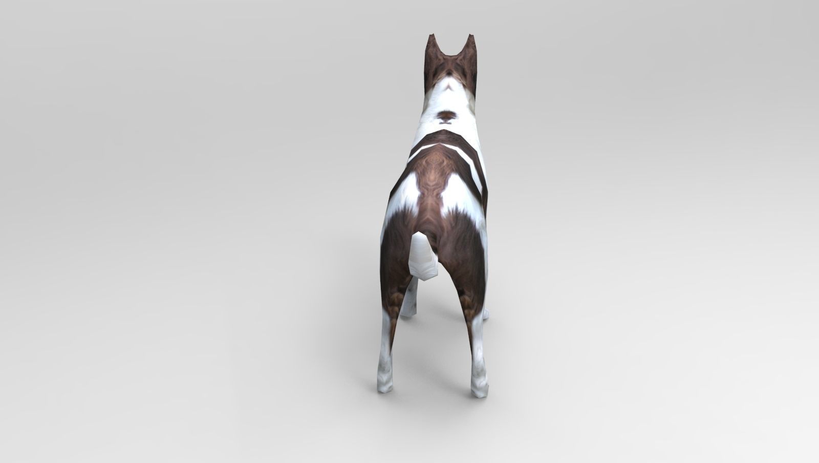 3D Dog animated low poly 3d Low-poly 3D model_7