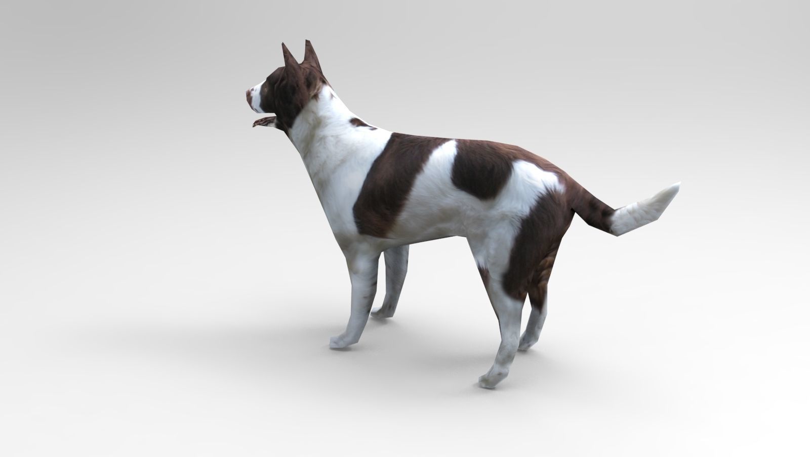 3D Dog animated low poly 3d Low-poly 3D model_5