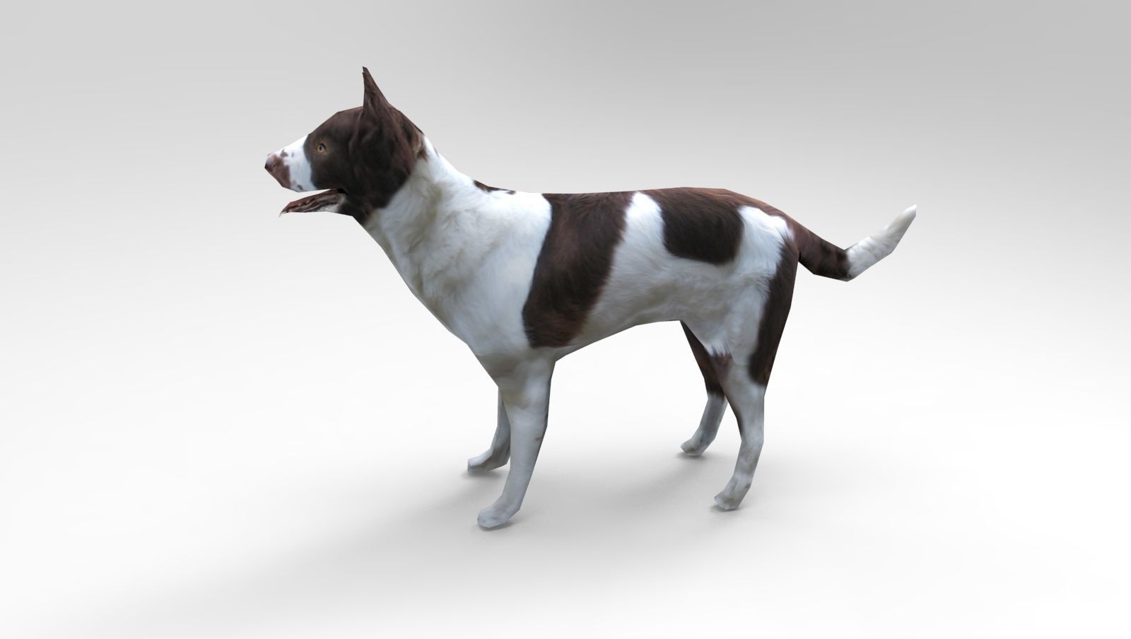 3D Dog animated low poly 3d Low-poly 3D model_4