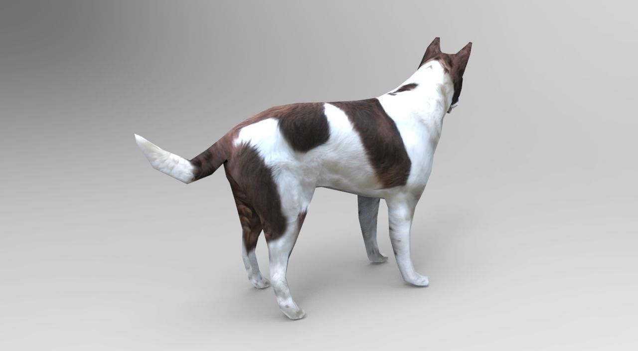 3D Dog animated low poly 3d Low-poly 3D model_3