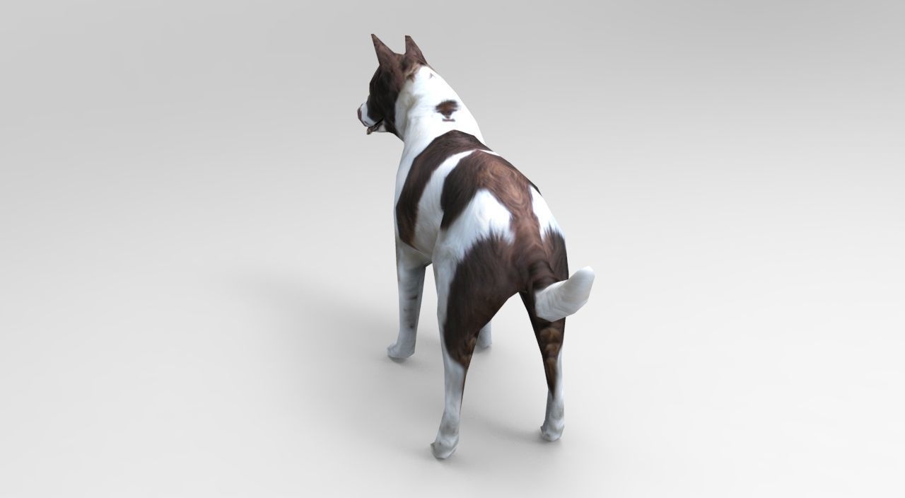 3D Dog animated low poly 3d Low-poly 3D model_13