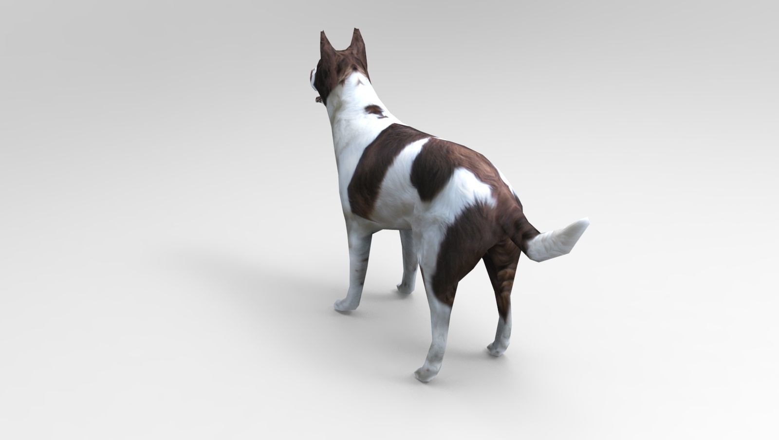 3D Dog animated low poly 3d Low-poly 3D model_6