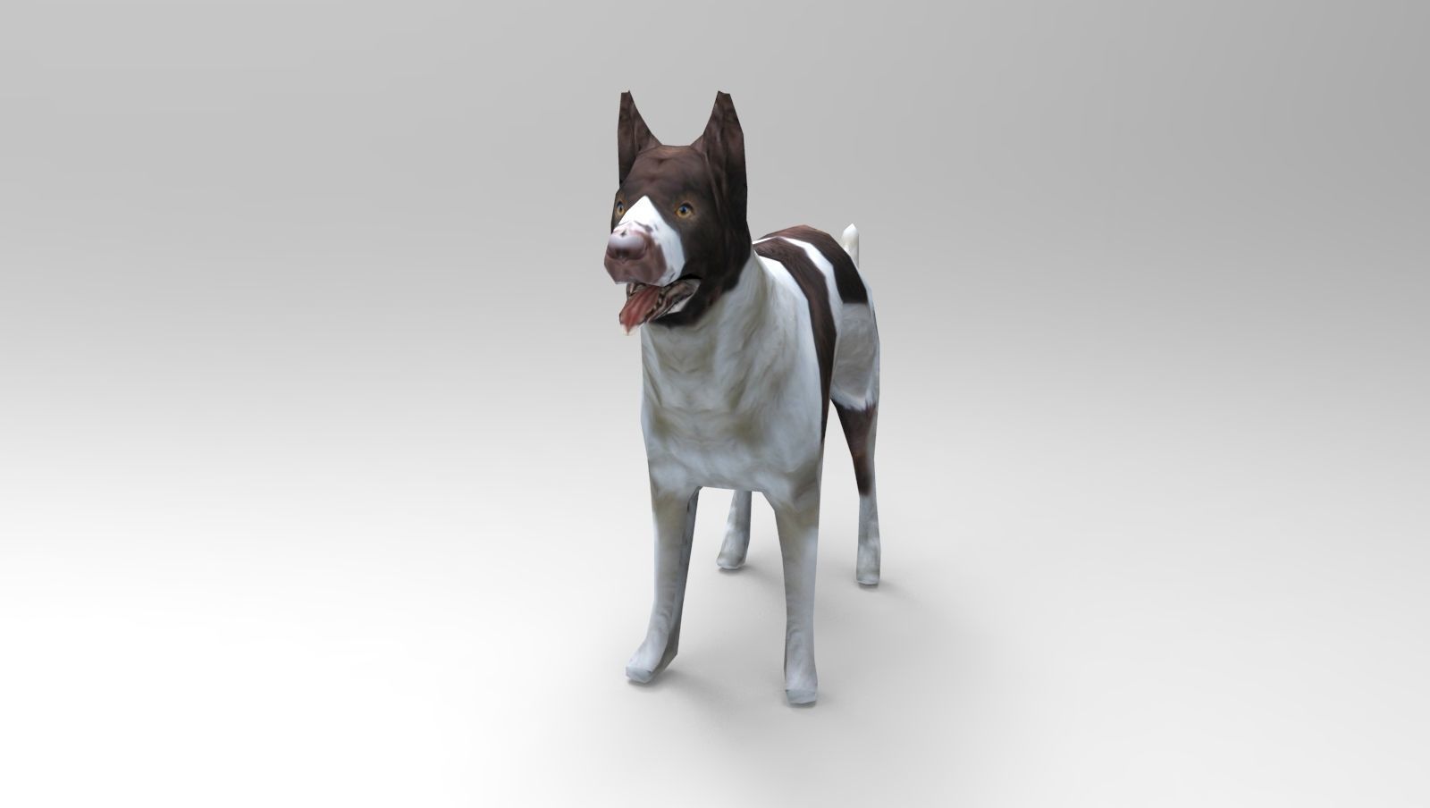 3D Dog animated low poly 3d Low-poly 3D model_12