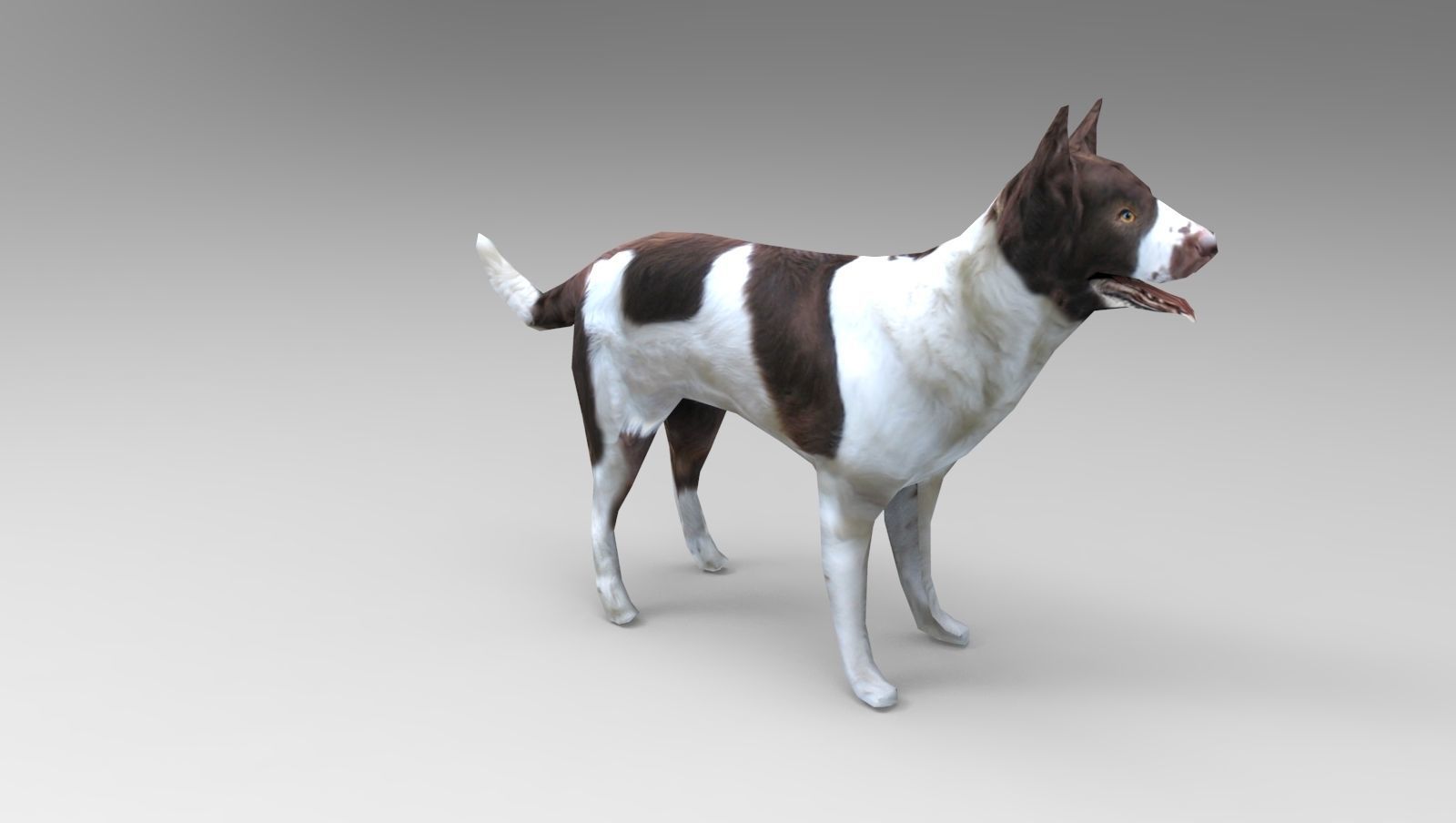 3D Dog animated low poly 3d Low-poly 3D model_10