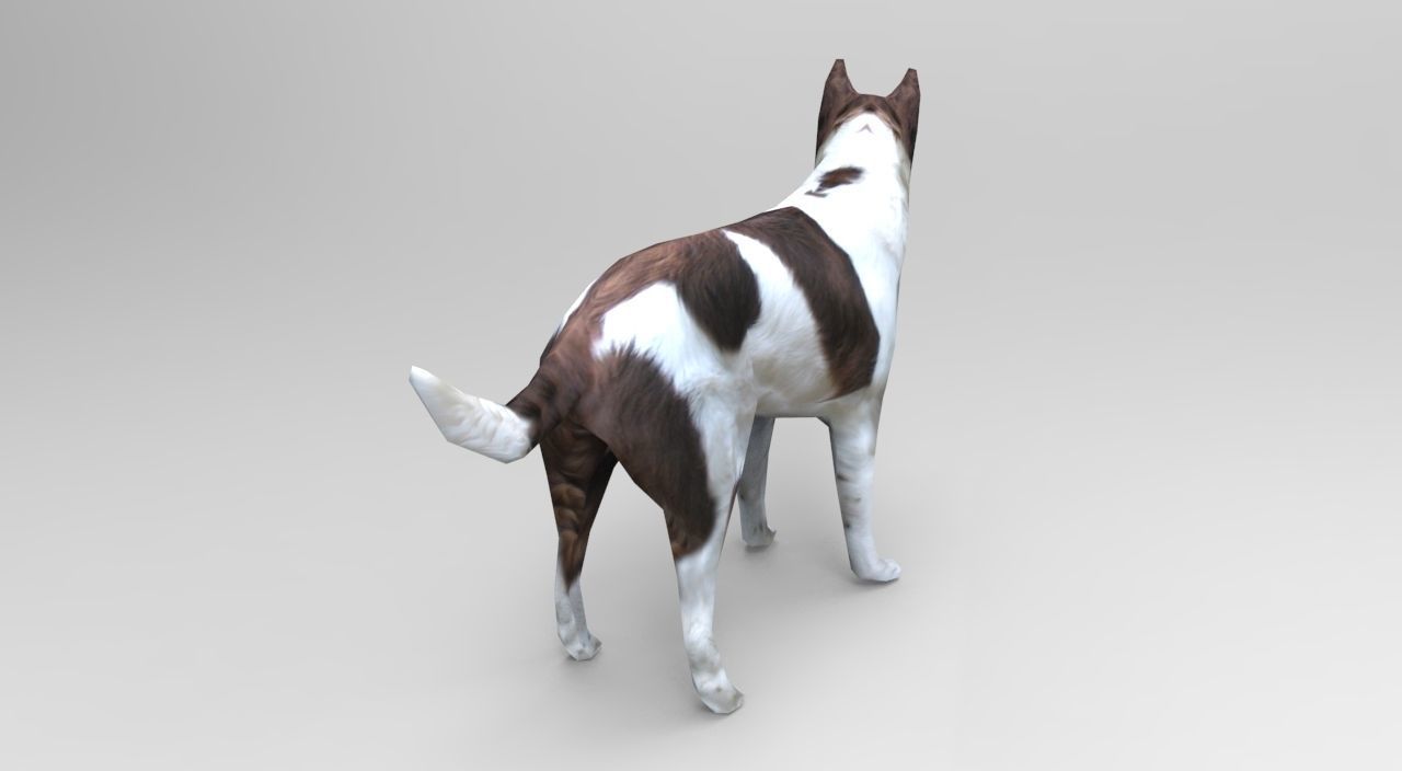3D Dog animated low poly 3d Low-poly 3D model_15