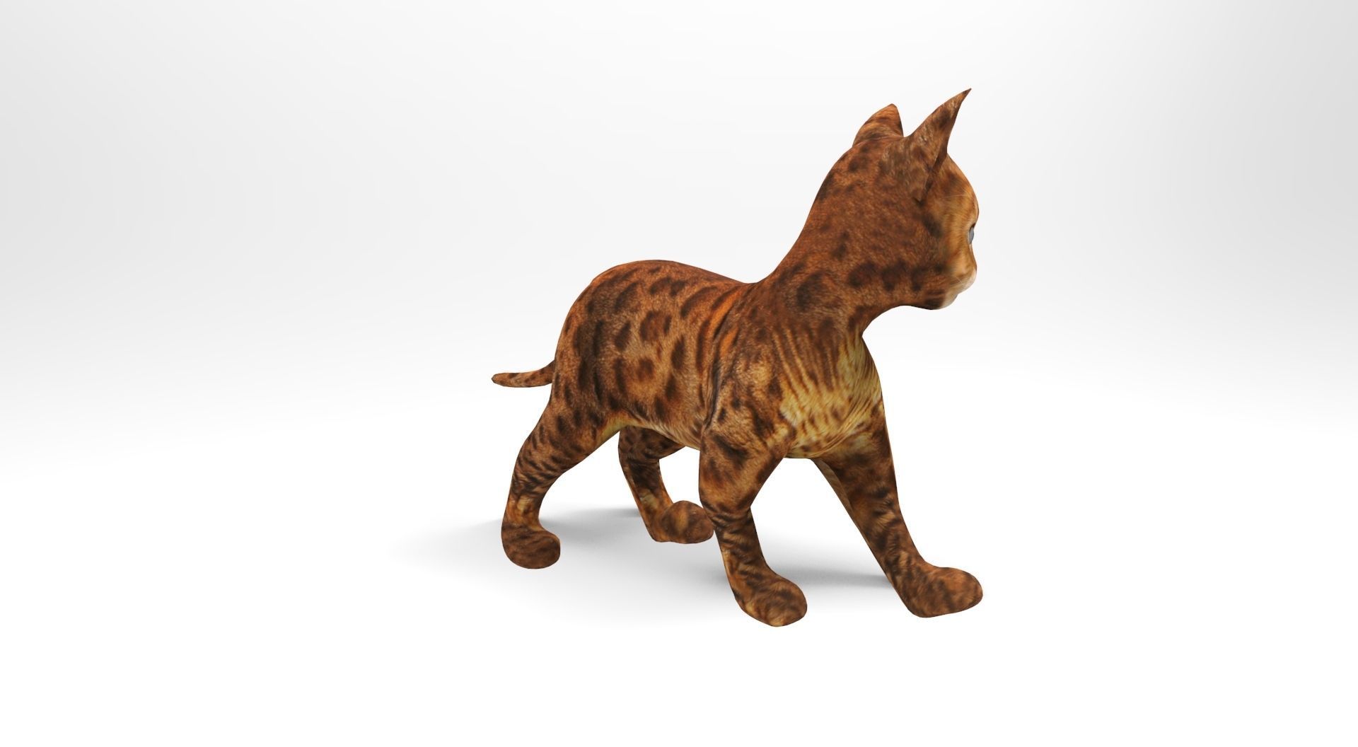 3D Cat Rigged and Animated model Low-poly 3D model_14