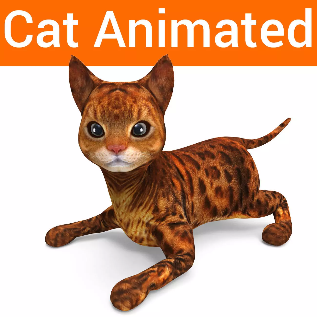 3D Cat Rigged and Animated model Low-poly 3D model_0