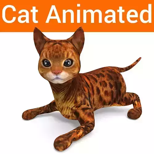 3D Cat Rigged and  Animated model 