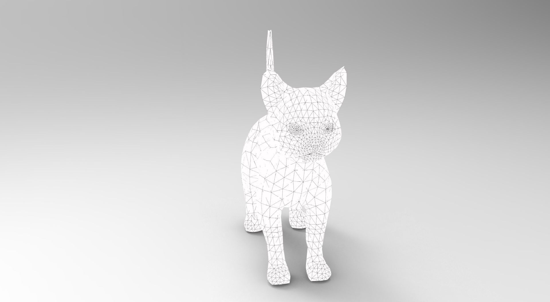 3D Cat Rigged and Animated model Low-poly 3D model_25