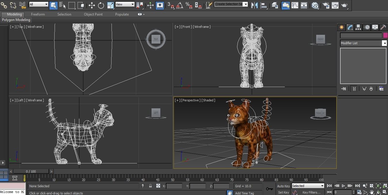 3D Cat Rigged and Animated model Low-poly 3D model_17
