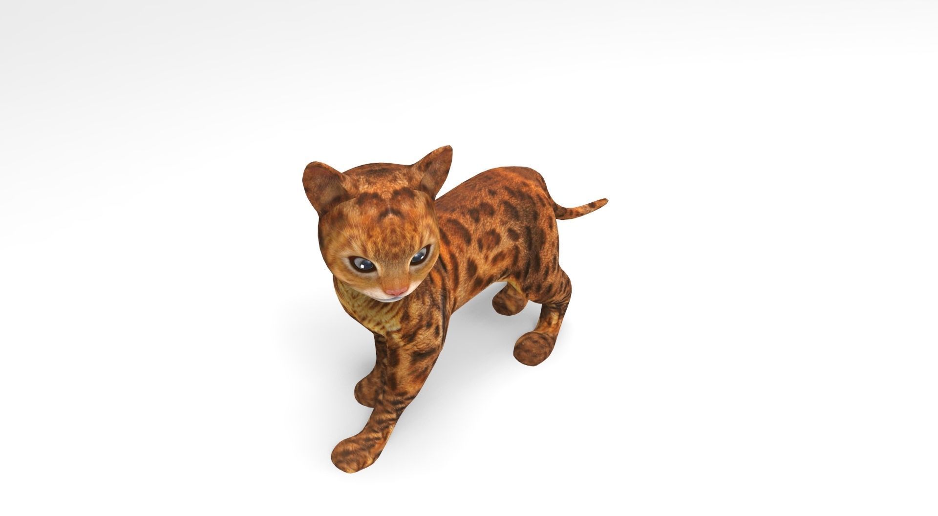 3D Cat Rigged and Animated model Low-poly 3D model_9